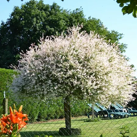 La Roulais Holiday Cottages *