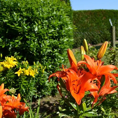 Hébergement de vacances La Roulais Holiday Cottages